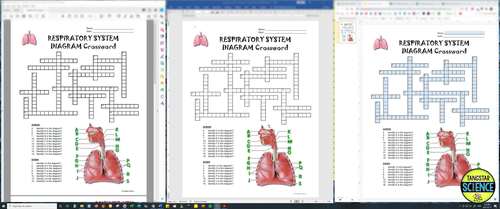 Respiratory System Crossword With Diagram Printable Distance Learning Option