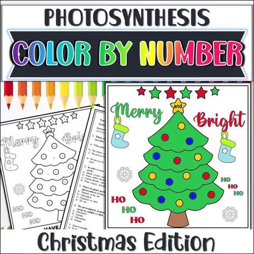 Photosynthesis and Cellular Respiration Christmas Color by Number Bundle