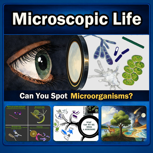 Preview of Microorganisms Interactive Lesson: Classify Protozoa, Bacteria & More