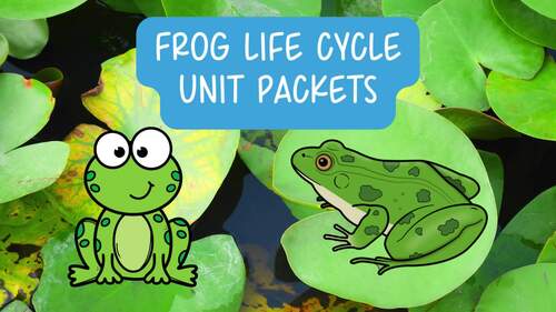 Frog Life Cycle Science Worksheets Frogs Spring PreK Kindergarten First ...