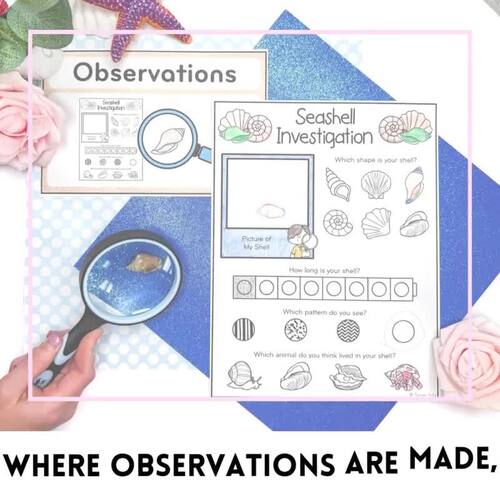 Seashell Sorting Activities, Ocean Science Shell Investigation, All ...