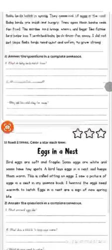 Birds in Spring Reading Passages with Comprehension Questions | Read 3 ...