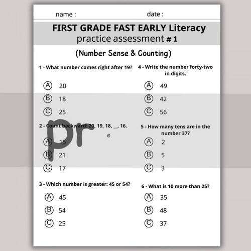 Grade 1 Math Assessment (1): Renaissance Star Practice Activities Set