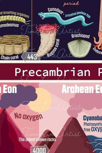 Geologic Time Scale- Evolution of Life Colorful Educational Poster