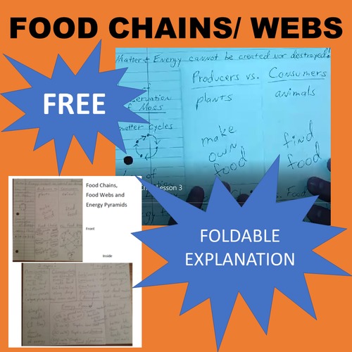 Preview of Producers, Consumers, Food Chain, Food Web and Energy Pyramid Foldable VIDEO