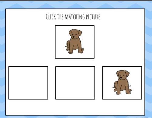Errorless digital identical matching interactive pdf by abcs and autism