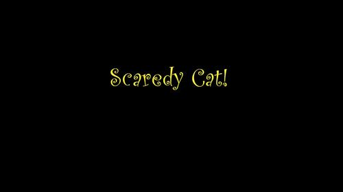 Webkinz – Scaredy Cat Lyrics