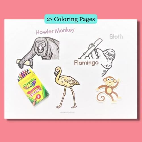 South American Animals Coloring Pages by More Than Just Reading TPT