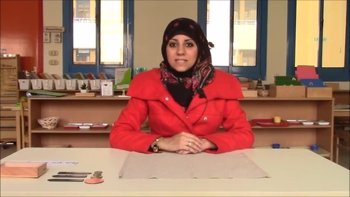 Preview of Montessori sentence analysis box B