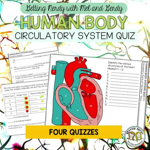 Human Body Circulatory / Cardiovascular System Quiz Pack TPT