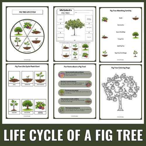 Fig Tree Life Cycle: Botany Plant Science Unit Study Cut & Paste, Fun Facts