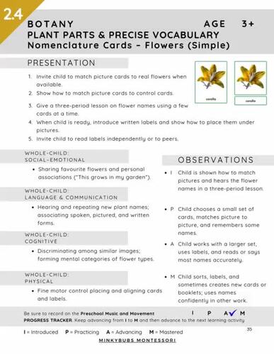 Early Years Botany (Montessori 3–6): Plant Parts Precise Vocabulary ...
