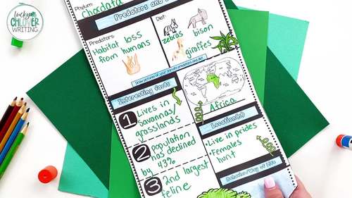 Safari Animal Research Report Graphic Organizer Poster Template: Africa
