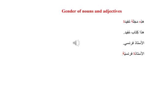 Preview of Video 1: Gender of nouns and adjectives