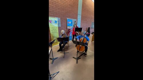 String Riffs Holiday Volume