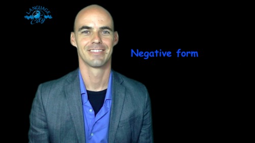 Preview of Negative form in French