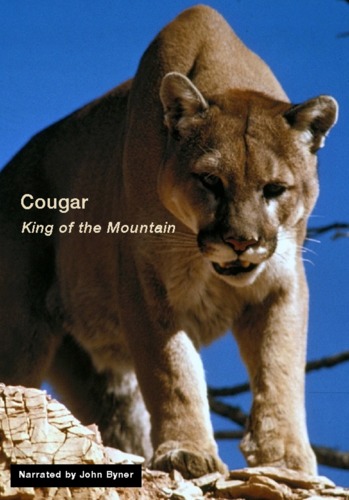 Preview of Cougar: King of the Mountain