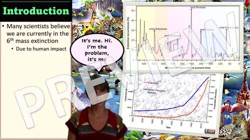 Importance of Biodiversity + Human Impact on Biodiversity Lesson BUNDLE