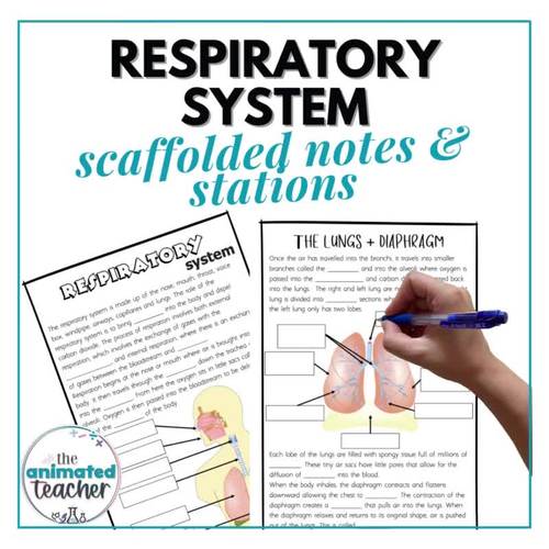 The Respiratory System Activities and Escape Room Bundle Middle School