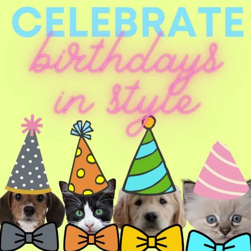 Classroom Birthday Displays Happy Birthday Display Birthday Display