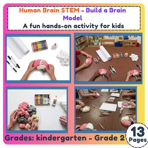 Human Brain STEM – Build a Brain Model | Hands-On Science Activity For K-2nd