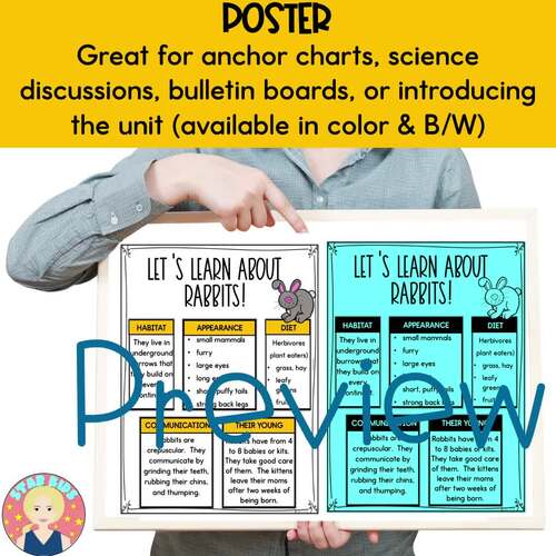 Rabbit Informational Unit | Nocturnal Animals Activities | K-2 Science