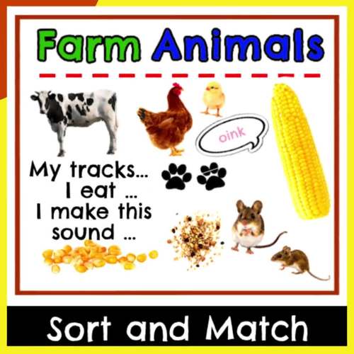 Farm Animals Sort and Match - Pre-K and Kindergarten by Miss Fuzzy Bee