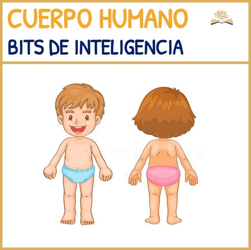 Preview of Bits de Inteligencia en Español. El cuerpo humano