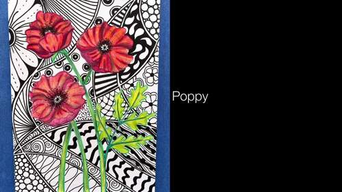 POPPY Drawing Visual Art Project Guide, Value and Contrast Skill Builder
