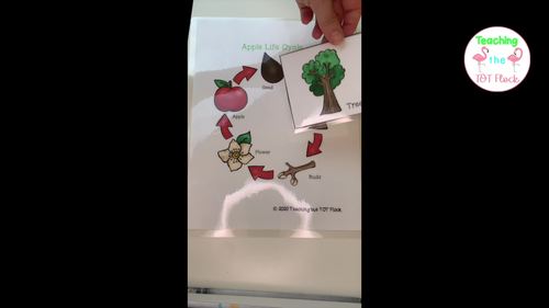 Apples Packet by Teaching the TOT Flock | TPT