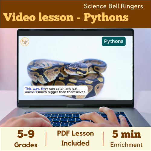 Preview of Science bell ringer video (4 min) - Pythons - Middle school