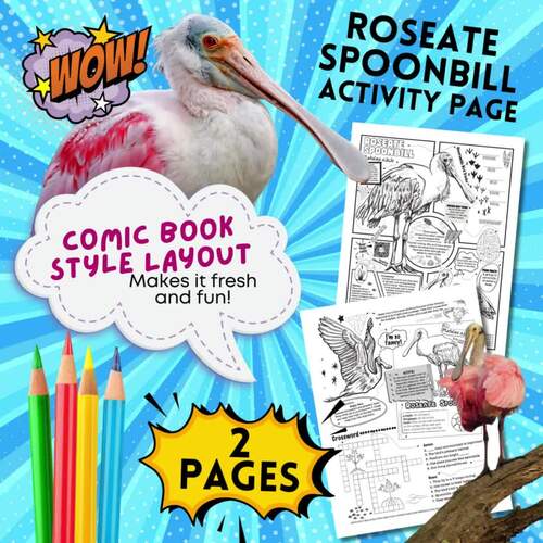 Roseate Spoonbill Activities Crossword + Scramble + Facts + Fun by