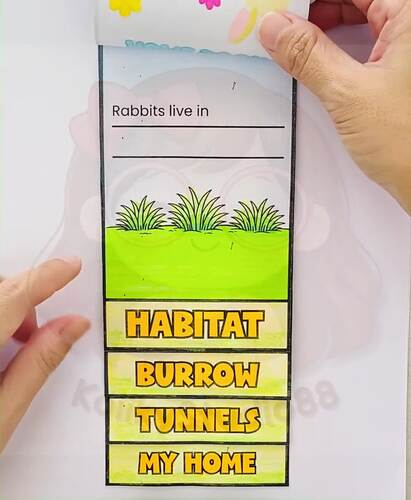 Rabbit Habitat Worksheets Burrow Activities Mini Book Grade 1–3 | TPT