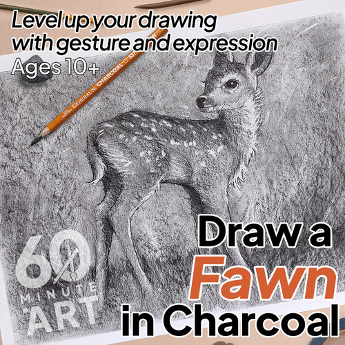 Preview of Draw a Fawn in Charcoal on Paper