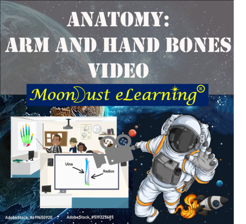 Preview of Anatomy: Arm & Hand Bones - VIDEO