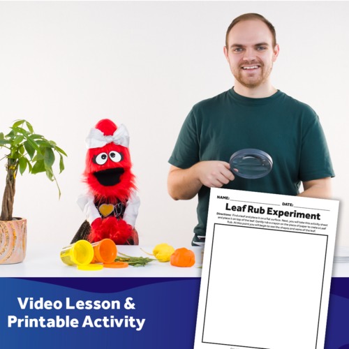 Preview of Leaf Rub Experiment - Video Lesson & Activity Download