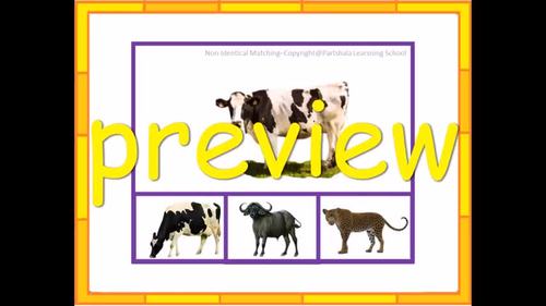 Non-Identical Matching – Activity Slides– with real images. POWERPOINT