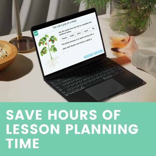 The Life-Cycle of a Plant Interactive Digital Science Lesson 2nd to 3rd ...
