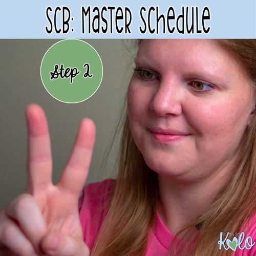 Preview of Step 2: Master Schedule of Self Contained Basics Course