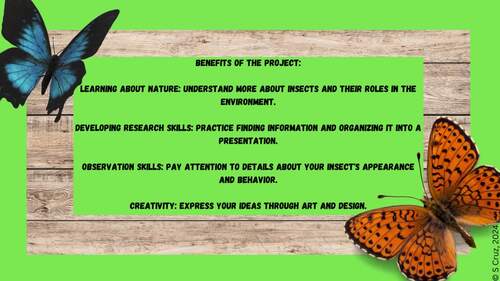 Insect Investigation - RESEARCH PROJECT/BOOKLET by Mrs Cruzs World of ...