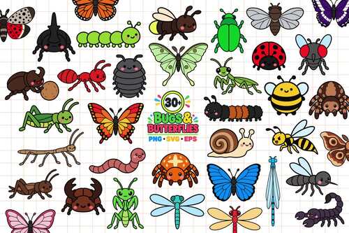 Bugs and Butterflies Clip Art for Classroom Resources by Usman Waenalai