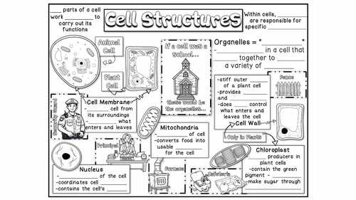 Cell Structures Doodle Notes, Quiz + Slides | Organelles, Plant vs ...