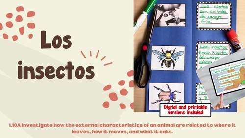 Los insectos by Cloud Ten | TPT