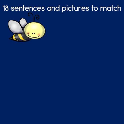 Insects Catching Bugs Sentence Picture Match Reading Comprehension and