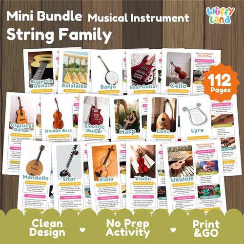 String Family Musical Instruments Research Project Orchestra & World Music