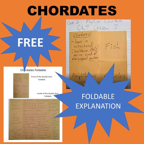 Preview of Chordate Classes (Chordata) Foldable VIDEO