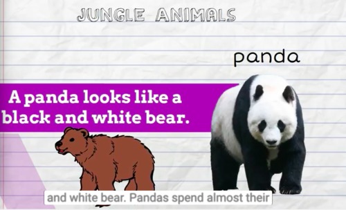 Preview of Jungle Animals 4