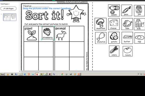 plant or animal sort assessment by Murphys lesson design studio | TPT