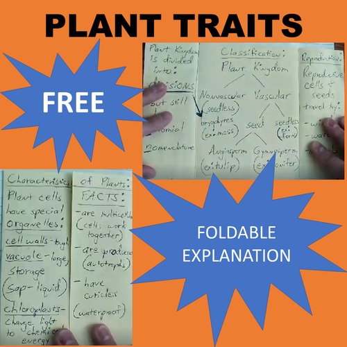 Preview of Plant Characteristics, Traits and Types Foldable VIDEO