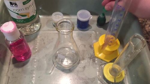Energy Pyramid Lab by Middle School Science - Life and Physical | TPT